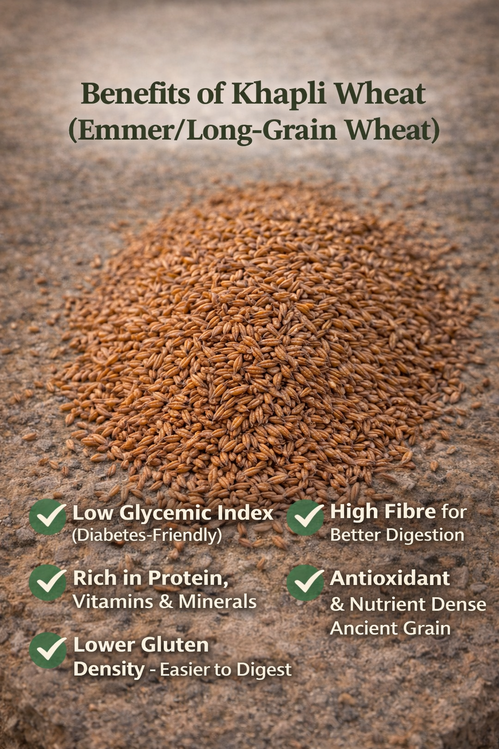 Khapli Wheat Grain (Emmer Wheat) – Long Grain, Low-GI