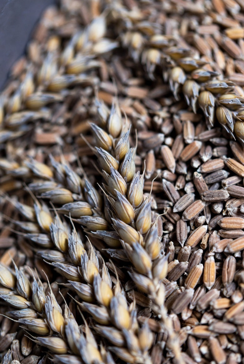 Khapli Wheat Flour (Emmer/Long-Grain Atta) – Stone-Ground,  Low GI, Organic – Buy Online in India